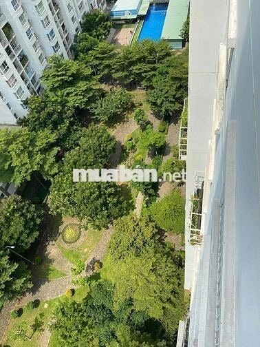 Căn hộ chung cư cho thuê giáp PMH