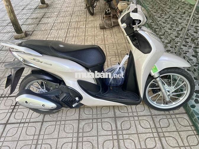 Chính chủ cần ra đi xe y hình