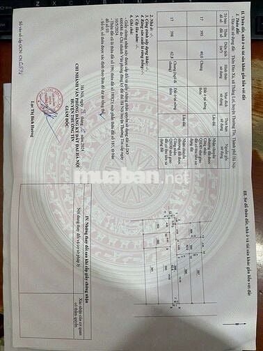 💥 SIÊU ĐẸP ĐẤT 👉 Đào Xá, Thắng Lợi, Thường Tín - HÀ NỘI 👉 Gần Quốc