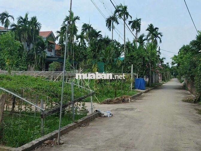🔥 Lô Đất Nằm giữa khu biệt thự - trại diền - hồng Thái - Phú Xuyên -