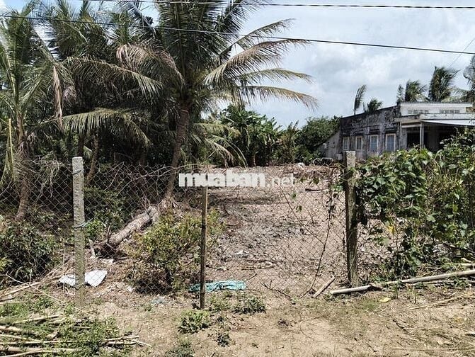 Đất cây lâu năm, thổ cư 100m, mặt tiền đan và sông
