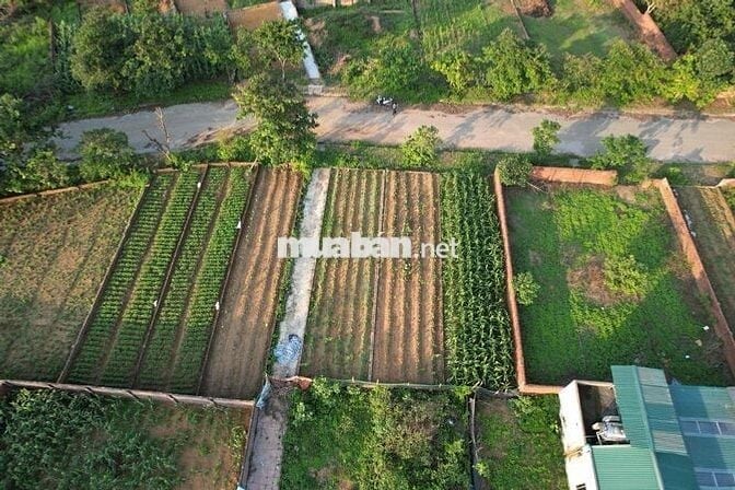 Bán 100m2 Tái Định Cư Vai Réo Rẻ Nhất Khu Vực