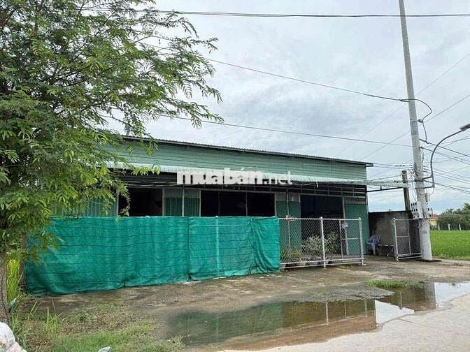 BÁN 3 LÔ ĐẤT MẶT TIỀN NGUYỄN THỊ BÀI XÃ LONG AN CŨ