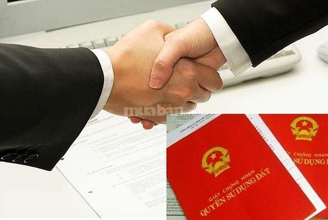 Chính chủ cần bán nhà liền kề số 3 ngõ 358/25/5 phố Bùi Xương Trạch