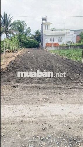 Chính chủ bán đất SHR 186m2 tại Hoà Khánh Nam, Đức Hòa, Long An 1,5 tỷ