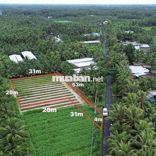 cần bán Lô đất vườn 1000mv tiếp giáp đường nhựa giá chỉ 680 triệu TL