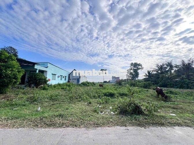 Đất sát kcn Đức Hoà 3 dt 5x25m giá 950tr