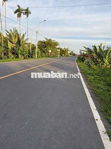 BÁN ĐẤT MẶT TIỀN ĐƯỜNG TỈNH LỘ 902 CHÁNH AN, MANG THÍT
