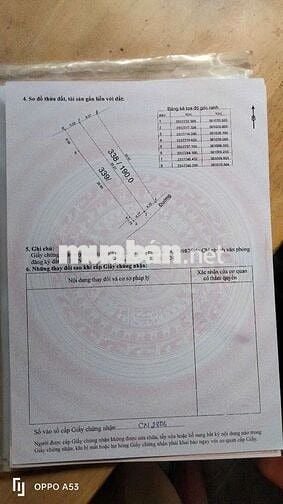 CC BÁN LÔ ĐẤT GẦN FUII THỔ GIÁ 2,75TỶ BẠCH THẠCH XÃ PHÚ CÁT HÀ NỘI