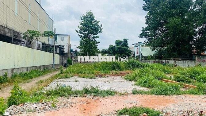 Đất gần ngã ba Cây Điệp phường Tân Đông Hiệp Tp Dĩ An