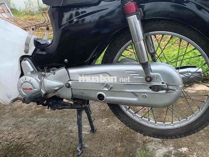 cub taya học sinh 50cc cà vẹt đủ giấy tay