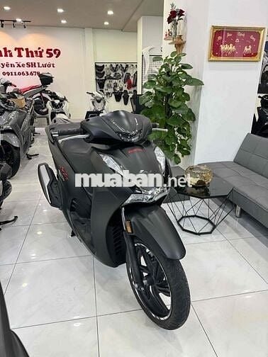 Sh350 2023 bs Tp full zin