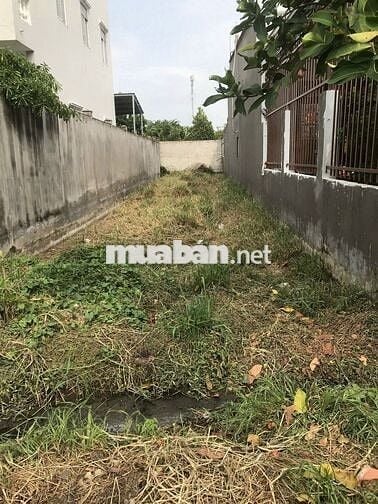 CẦN TIỀN CHO CON DU HỌC BÁN LÔ ĐẤT 163M2 - TÂN THẠNH ĐÔNG. GIÁ 550Tr.