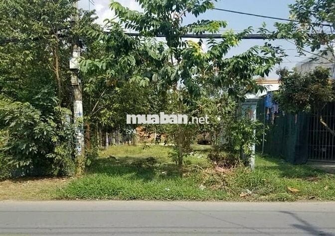 CẦN TIỀN GẤP, BÁN LÔ ĐẤT 240M2, LÊ THỊ NỬA, 480TR