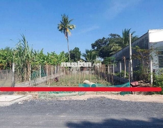 BÁN ĐẤT VƯỜN, MẶT TIỀN HỒ VĂN TẮNG, 8,3M X 38M, GIÁ 450 TRIỆU, BỚT LỘC