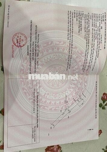 BÁN LÔ ĐẤT THÀNH PHỐ HỒ CHÍ MINH