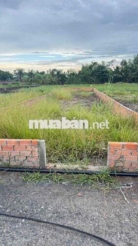 siêu phẩm đất nền Long Khê - Cần Đước