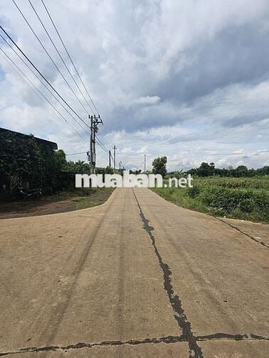 💥 ĐẤT 2MT HẺM ĐƯỜNG ĐOÀN KẾT XÃ HÒA PHÚ 394m2 THỔ CƯ VIEW RUỘNG 1.2 TỶ