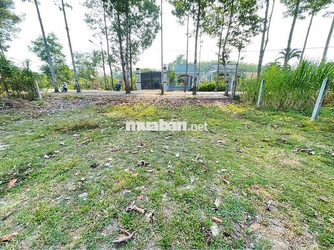 Thái Mỹ 500m² có 300m thổ mặt tiền đường Phạm Thị Liền. giá 1,6 tỷ