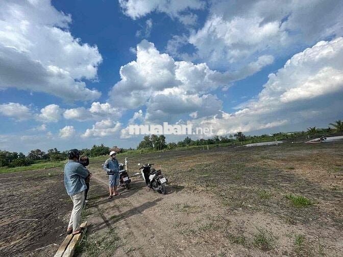🧧SIÊU VIP 😍😍 Quê mỹ thạnh- tan trụ-long an( Nhựt Tảo-Tây Ninh) dt : 10