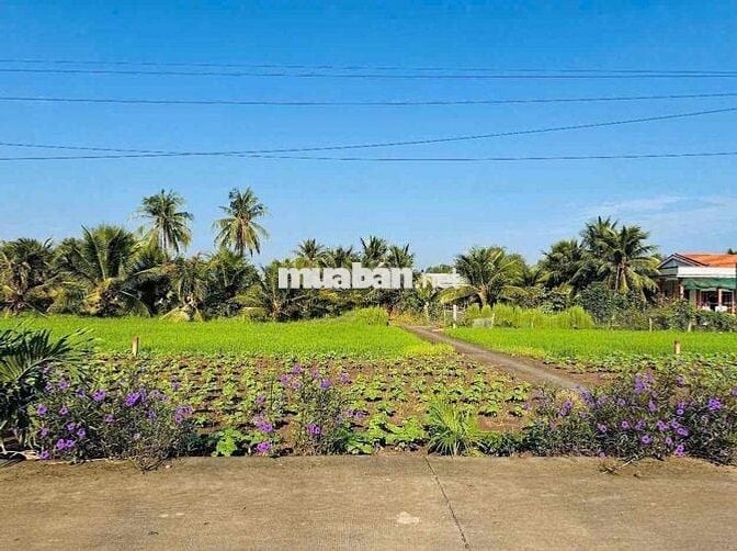 thổ cư 110m2, giá: 520tr tân trụ - long an , 2 xe ô tô né nhau vô tư