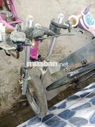 Xe độ