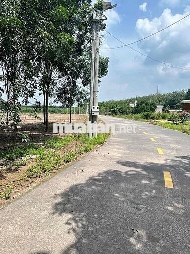 Chính chủ ngộp đất tại TP HCM giá rẻ