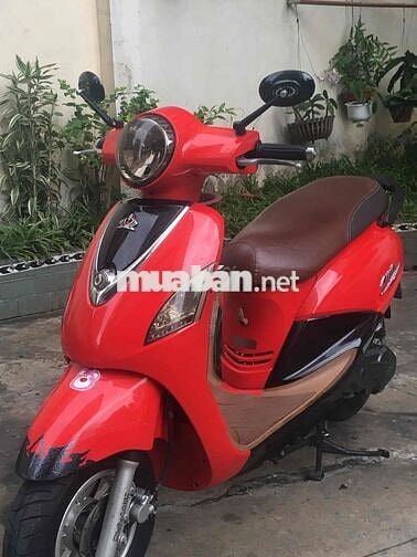 Elizabth Fi đỏ , công chứng liền bstp