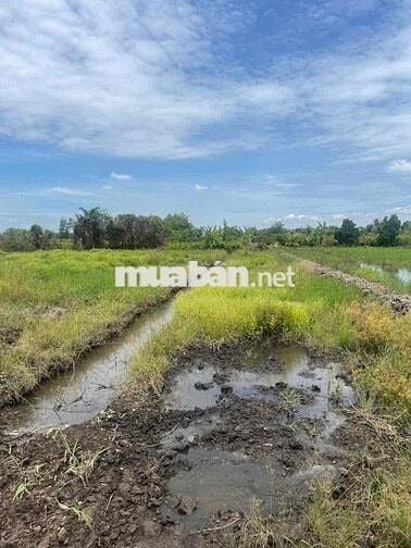 dt : 500m2 ,giá :435tr sổ giao tay , xã thạnh hoá - bến lức - long an