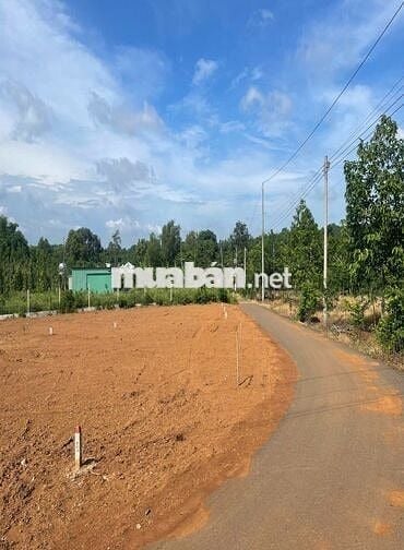 Bán đất tại Đường 765, Xã Lâm San,Đồng Nai, giá 630 triệu, 118.2m2