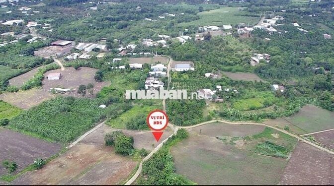Đất nền thổ cư gần sân bay Long Thành, Cẩm Mỹ, Đồng Nai