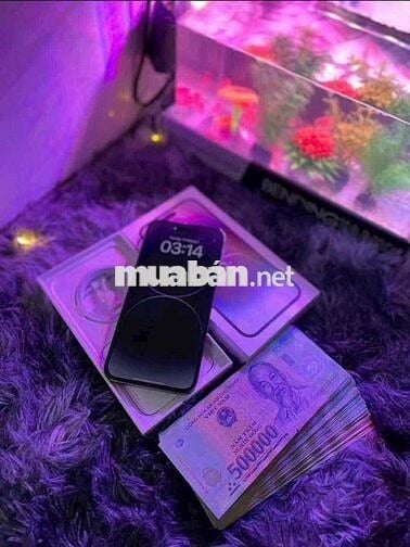 Ae cần tiền để xoay sở alo em hỗ trợ