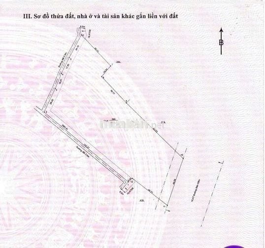 Bán gấp đất Hòa Lợi, Bến Cát, Bình Dương, 140 tỷ, 9400 m2 giá siêu hời