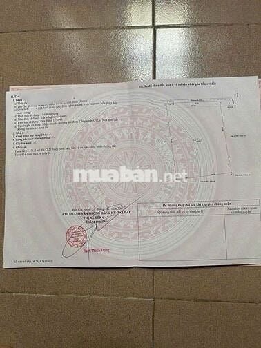 Bán đất tại Hòa Lợi, Bến Cát, Bình Dương, 55 tỷ, 4000 m2