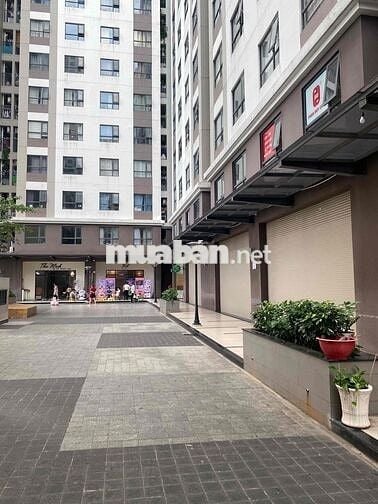 shophouse chung cư Green River vừa ở vừa kinh doanh, mở văn phòng