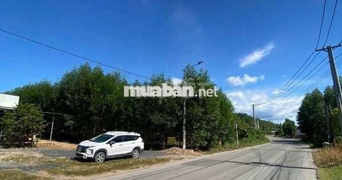 Chủ ngộp cần bán gấp đất full thổ cư