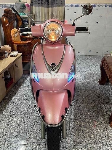 Elizabeth fi biển số tphcm chính chủ ký