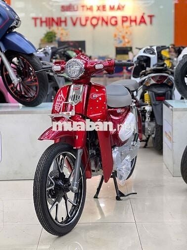CUB 87 PHONG CÁCH CÁ TÍNH - HỖ TRỢP GÓP