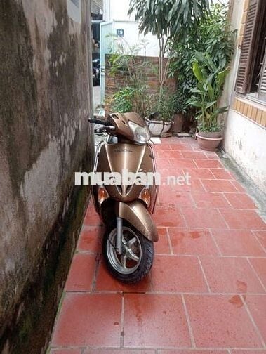 Thanh lý xe Lead 110cc, Xe nguyên bản,  Xe ca Nhân