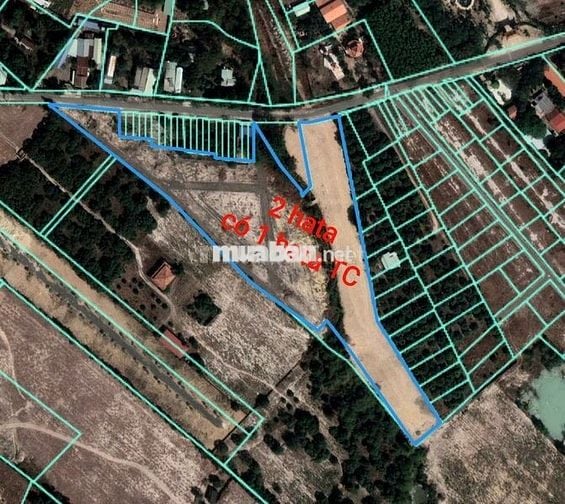 Bán 20.485m2 đất mặt tiền đường hội bài châu pha