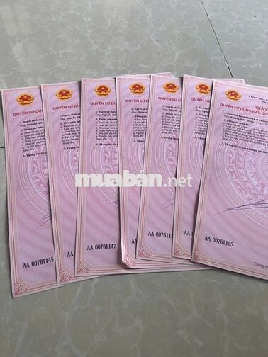 Đường tạo lực Bàu Bàng- Phú Giáo- Tân Uyên- TPHCM