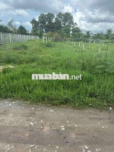 👉 🏡 Bán Nhanh Đất Phú An DX24 – 5x40 Thổ Cư 100m² –Giá Chỉ 1Tỷ290 🏡