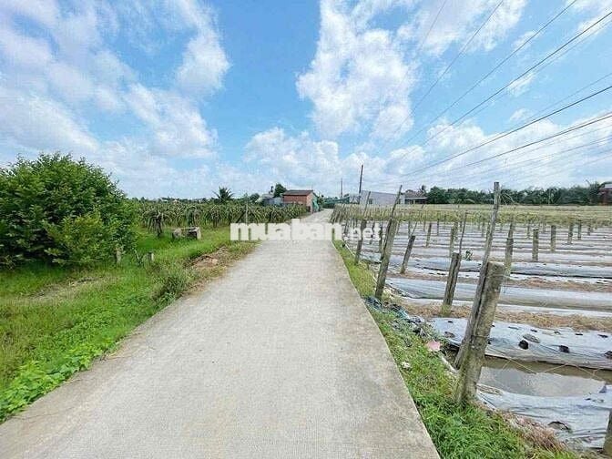 Bán  5 x 36 thổ cư đường Đan 3.5 m nền sáng,sạch đẹp  nhà đông đ
