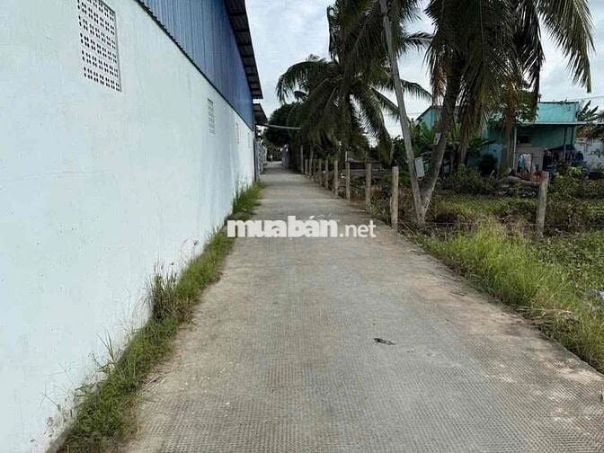 Bán đất thổ cư 5x30  lô đất đẹp nhất Phú Ngãi Trị  đối diện công ty