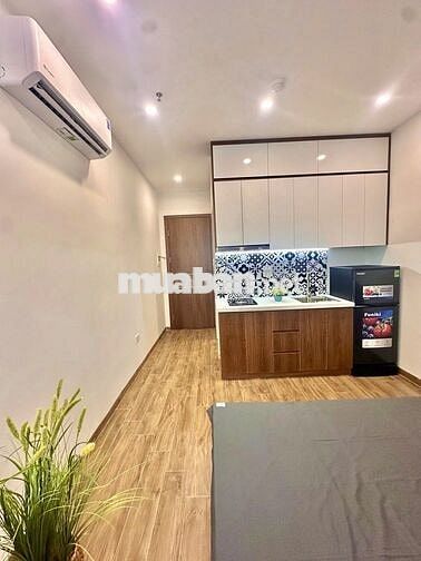 BÁN NHÀ HOÀNG HOA THÁM, TRUNG TÂM BA ĐÌNH, CCMN DÒNG TIỀN 60TR/ THÁNG