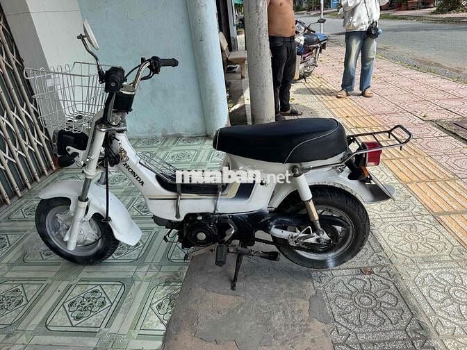 xe Chaly 50 có đề
