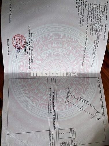 CHỈ 560 TRIỆU SỞ HỮU NGAY LÔ ĐẤT CÓ 15M MẶT TIỀN BÊ TONG VỚI 1016M2