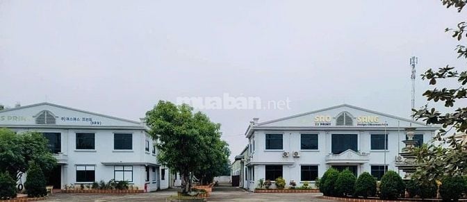 BÁN NHÀ MÁY + ĐẤT 9.907m² NGAY TRUNG TÂM TP. NAM ĐỊNH
