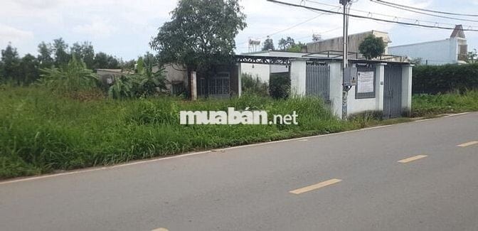 Bán gấp đất mặt tiền đường an hạ tân vĩnh lộc tp.hcm