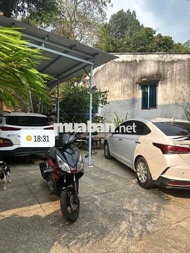 Ab Fi lên full thái cực đẹp  bs 59